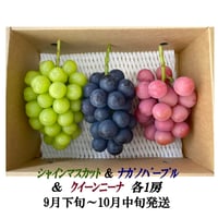 葡萄『ｼｬｲﾝﾏｽｶｯﾄ3房』 &『 ﾅｶﾞﾉﾊﾟｰﾌﾟﾙ2房』2.5kg以上 | やなぎさわ