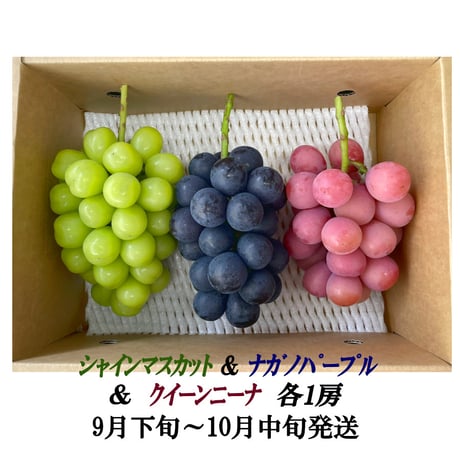 高山村のクイーンニーナ　来季の受付け中 クイーンニーナ | STORES