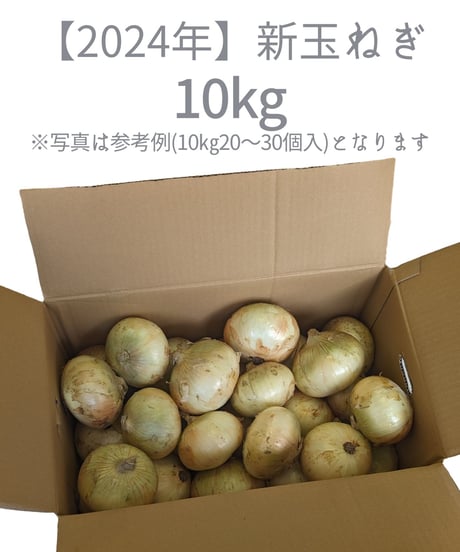 淡路島産 新玉ねぎ10kg