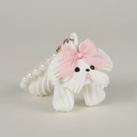 シャンティちゃん
