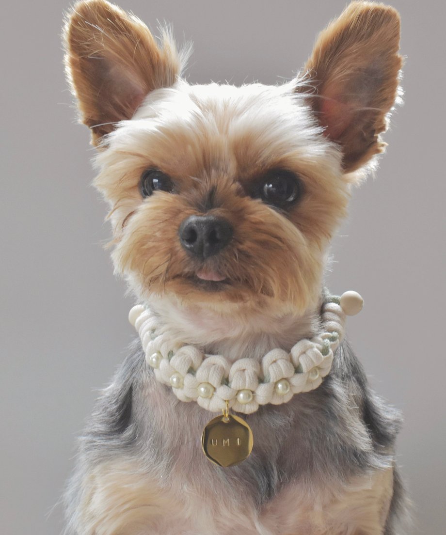 67e01340e8093e7cf7500992