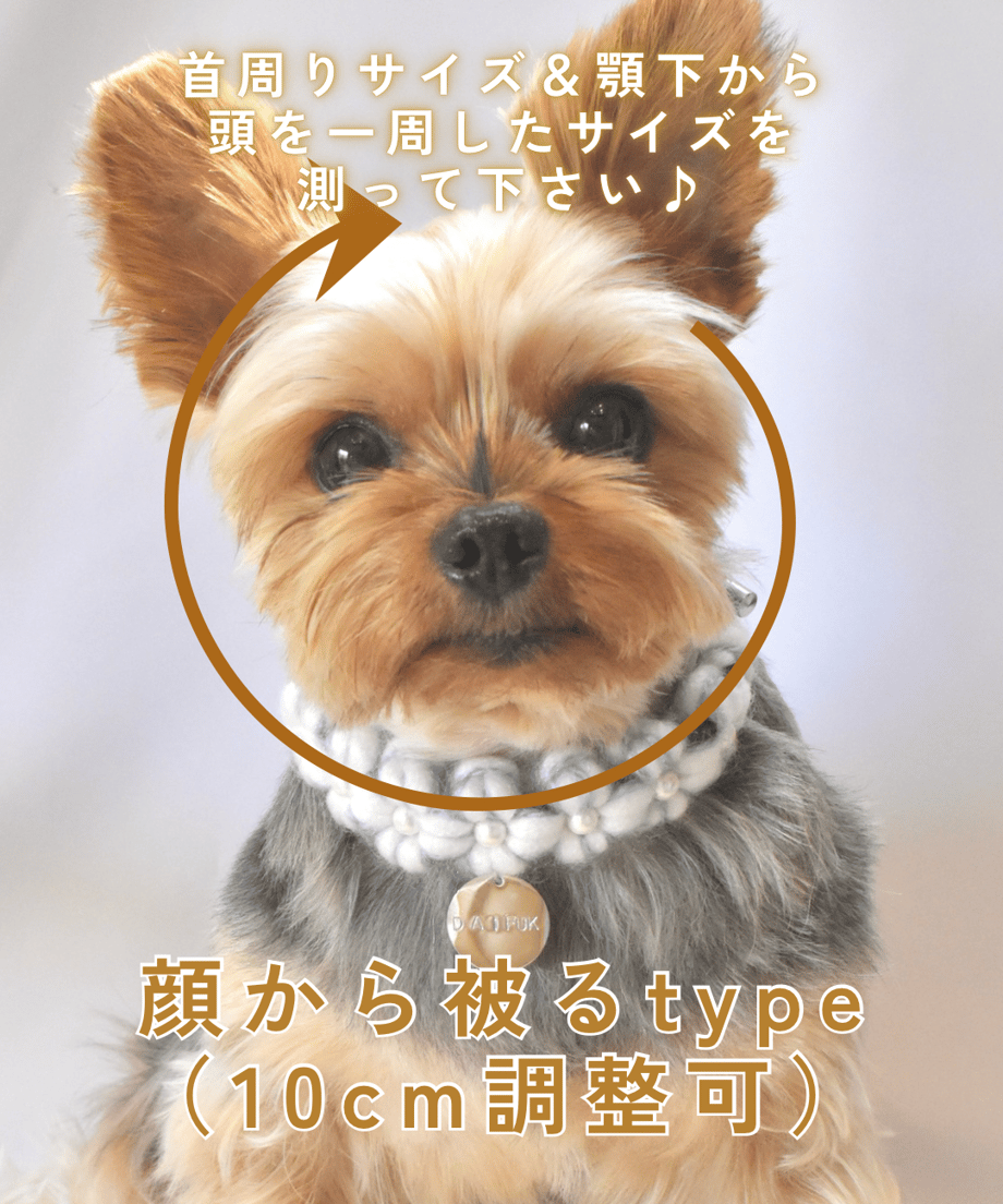 6992fd6386f8d439ad83ec5e