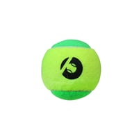 TopspinPro 専用ボール2個入り