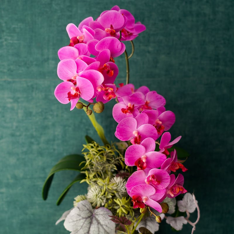 高級 造花 ピンクミニ胡蝶蘭 葉模様陶器鉢〈一点もの〉 | 高級 造花