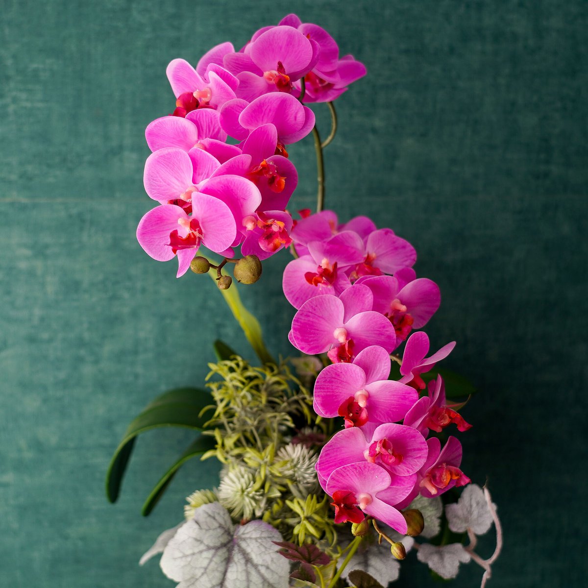 高級 造花 ピンクミニ胡蝶蘭 葉模様陶器鉢〈一点もの〉 | 高級 造花