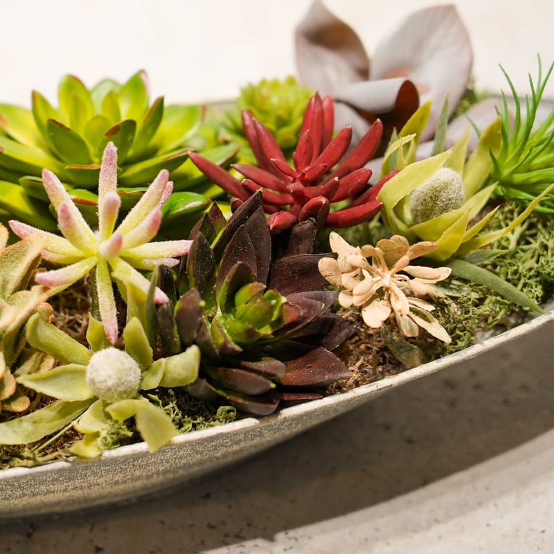 多肉植物 寄せ植え (男前フェイク多肉) 多肉植物 寄せ植え (男前