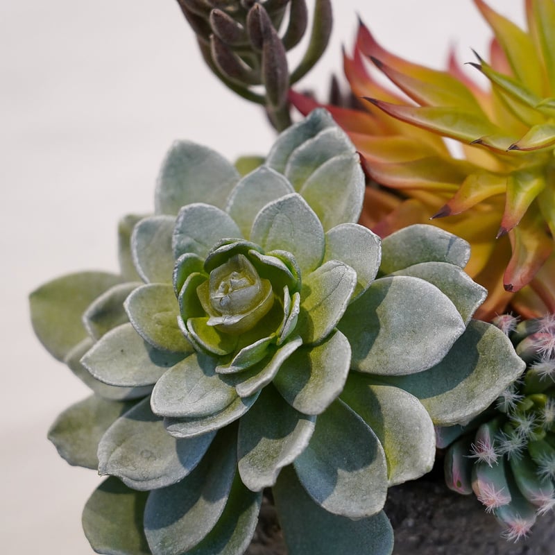 高級 造花 フェイクグリーン 多肉寄せ植え ロック風鉢（大）〈一点もの