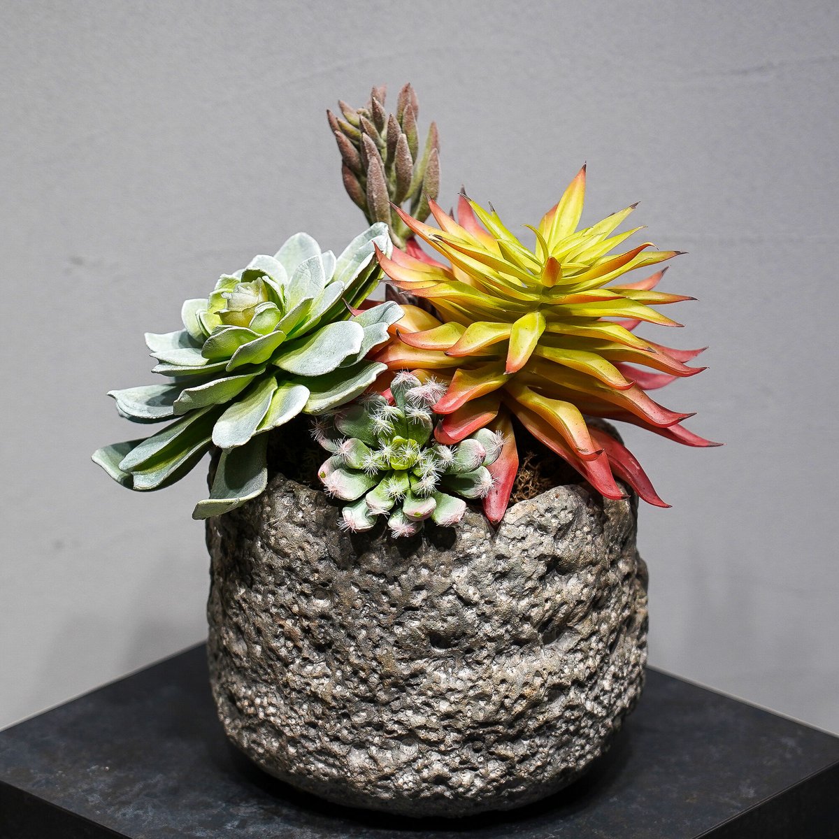 フェイク　多肉植物 fit=scale-down,w=1200