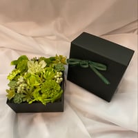 高級 造花　黒BOXフラワー　グリーン　10.5cm×10.5cm