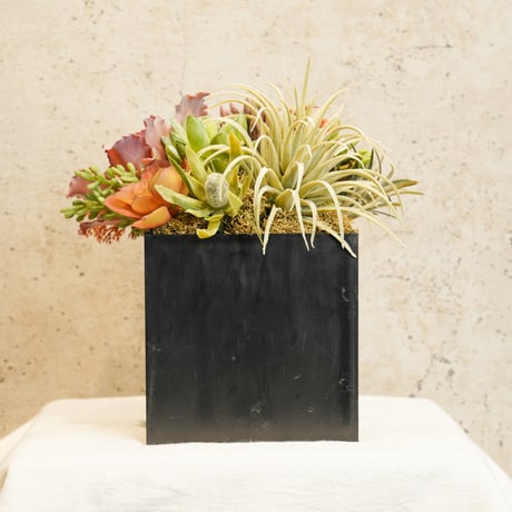 高級造花　フェイクグリーン 多肉寄せ植え　四角黒鉢〈一点もの〉