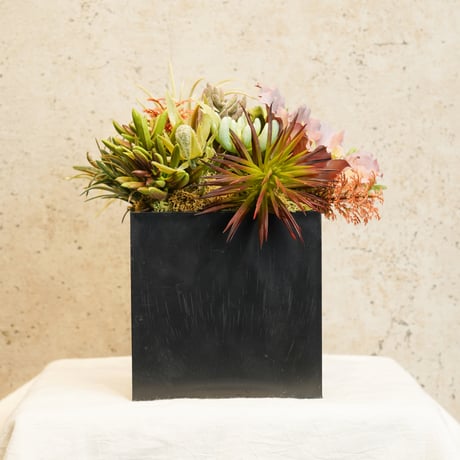 高級造花　フェイクグリーン 多肉寄せ植え　四角黒鉢〈一点もの〉