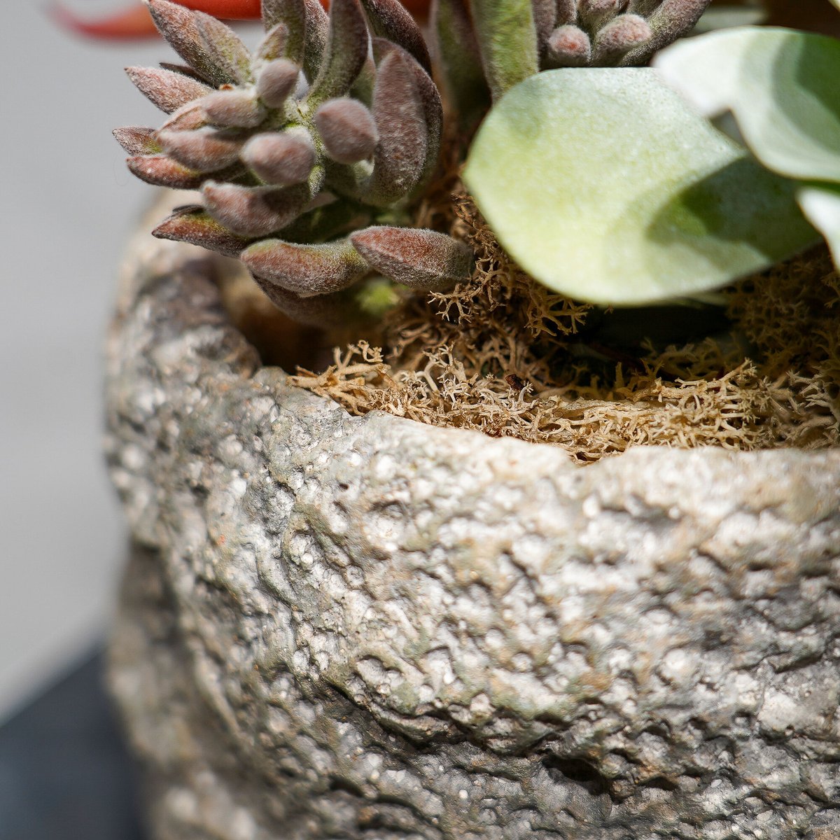 高級 造花 フェイクグリーン 多肉寄せ植え ロック風鉢（大）〈一点もの