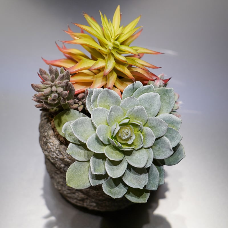 高級 造花 フェイクグリーン 多肉寄せ植え ロック風鉢（大）〈一点もの