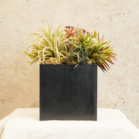 高級造花　フェイクグリーン 多肉寄せ植え　四角黒鉢〈一点もの〉