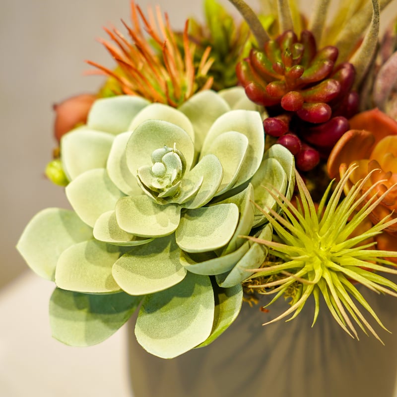 高級造花 フェイクグリーン 多肉寄せ植え アイアン三つ足鉢3〈一点もの