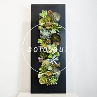 高級 造花　ウッドフレーム　ブラック　多肉植物アレンジメント2〈一点もの〉40cm