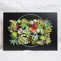 高級 造花　ウッドフレーム　ブラック　多肉植物アレンジメント〈一点もの〉