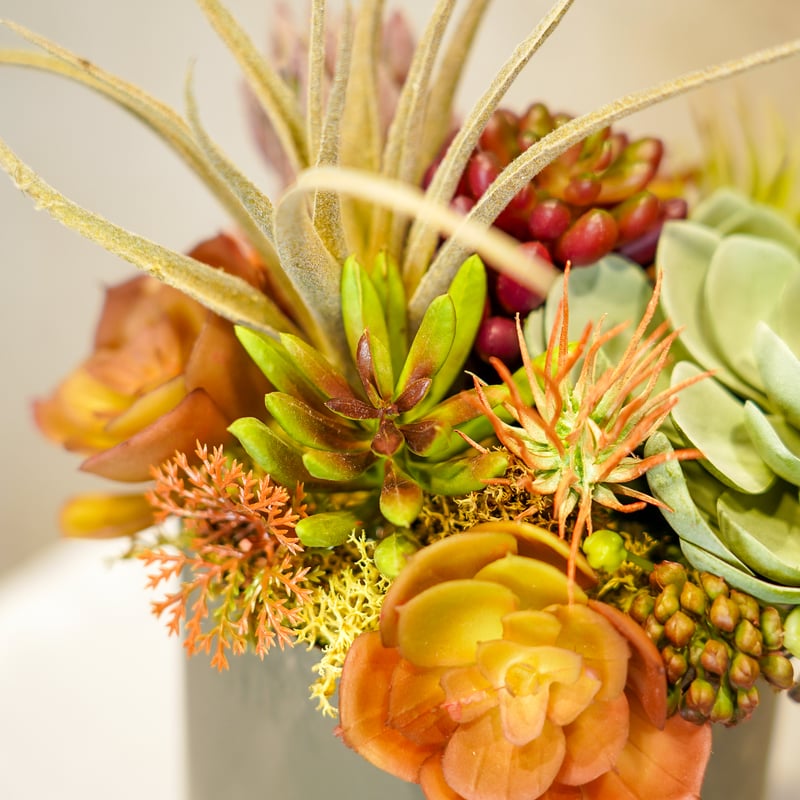 高級造花 フェイクグリーン 多肉寄せ植え アイアン三つ足鉢3〈一点もの