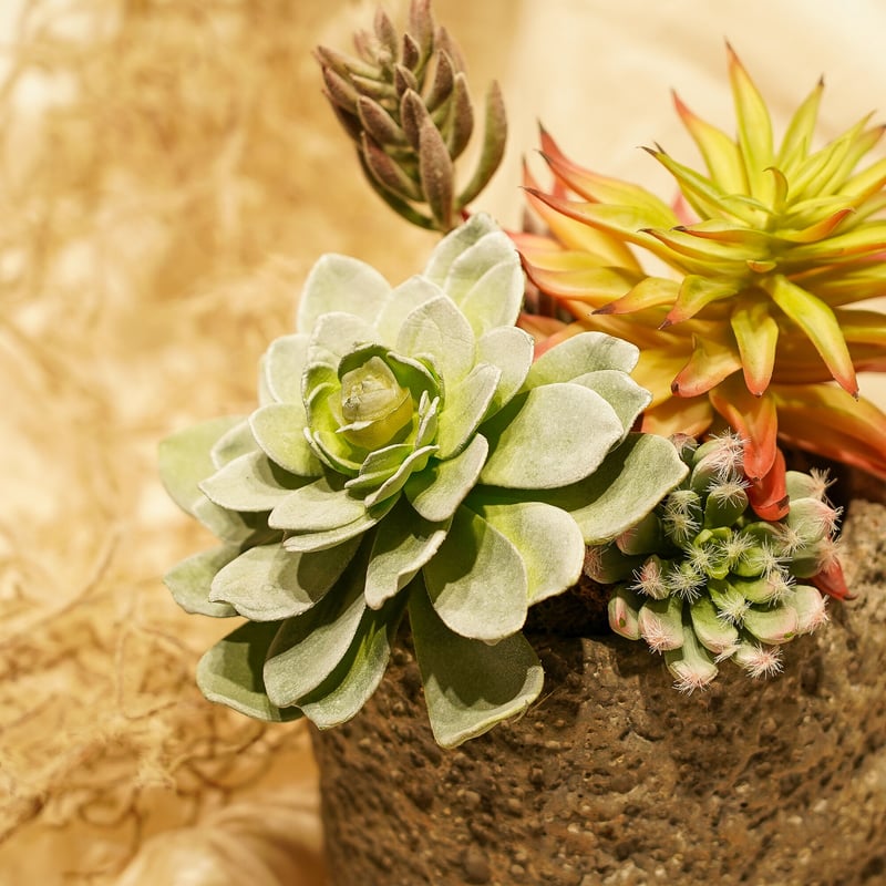 高級 造花 フェイクグリーン 多肉寄せ植え ロック風鉢（大）〈一点もの