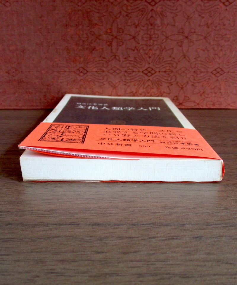 文化人類学入門 岩波新書　まとめ売り 文化人類学入門 岩波新書 まとめ売り 文化人類学への招待／山口 昌男