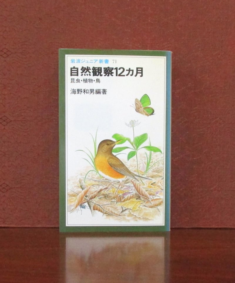 自然観察12カ月 ： 昆虫・植物・鳥 〈岩波ジュニア新書71〉 | 書肆 奇縁堂