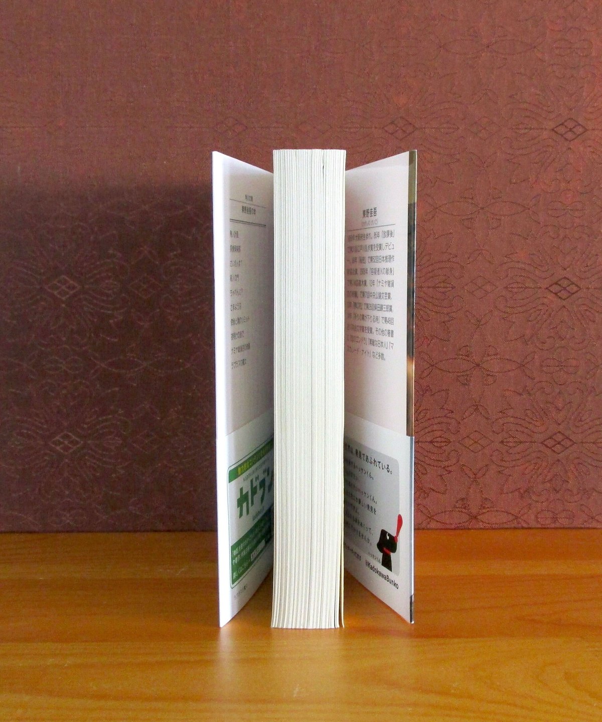 ラプラスの魔女 | 書肆 奇縁堂