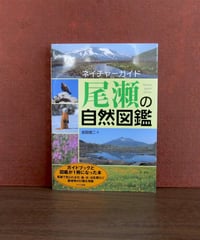 ἂῠἱ医学大辞典 改訂第5版Όέῃ ステッドマン医学大辞典 改訂第5版 カラー版: 英和・和英