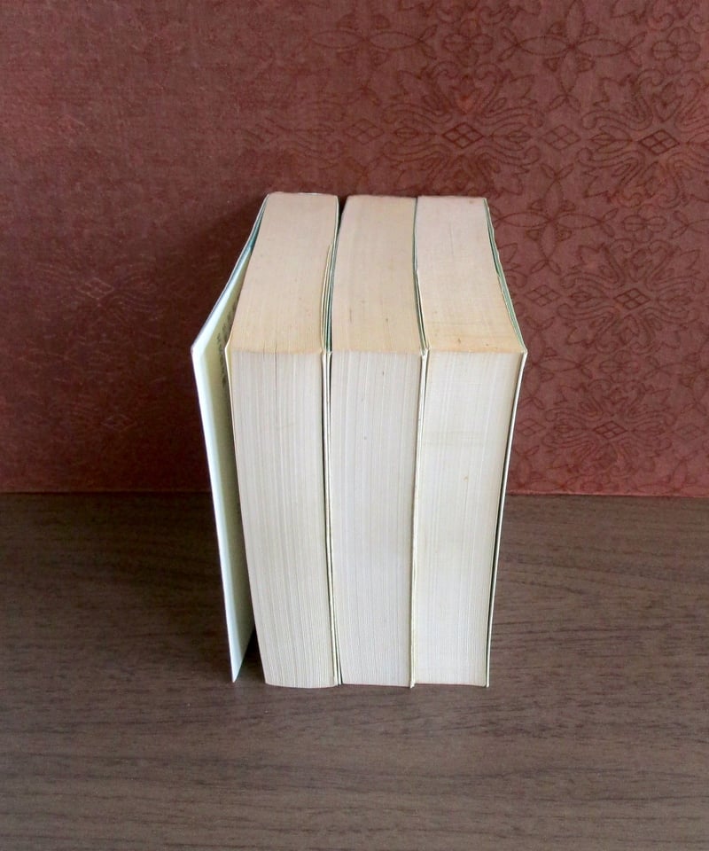 阿片戦争（上・中・下巻） | 書肆 奇縁堂