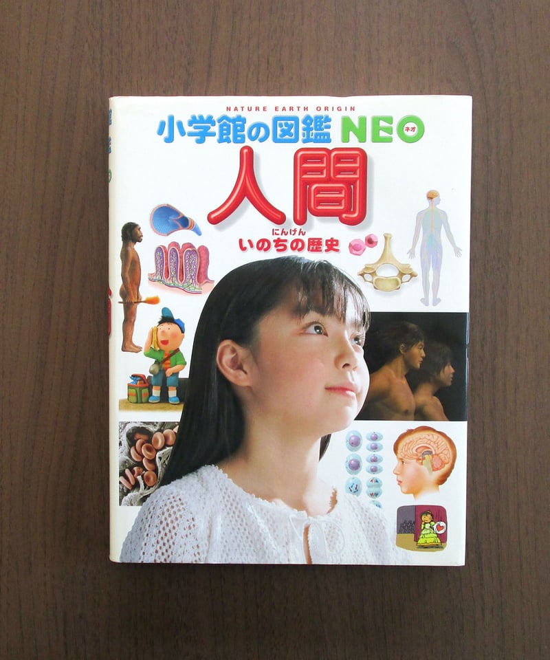 人間 いのちの歴史 小学館の図鑑NEO - 本