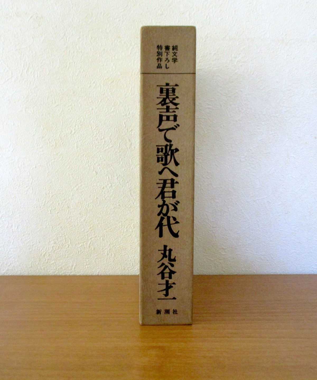 裏声で歌へ君が代 〈純文学書き下ろし特別作品〉 | 書肆 奇縁堂