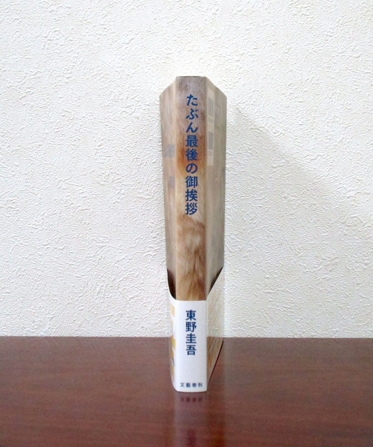 たぶん最後の御挨拶 | 書肆 奇縁堂