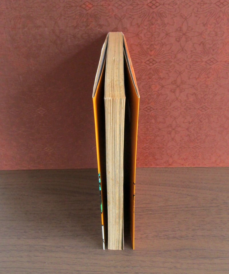 全学連 FOR BEGINNERS イラスト版オリジナル | 書肆 奇縁堂