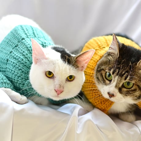 在庫限り】エブリディで編む　かぎ針で編むペット用ケープ 手作りキット　日本製　ハンドメイド　ネコ　イヌ　ＮＡＳＫＡ