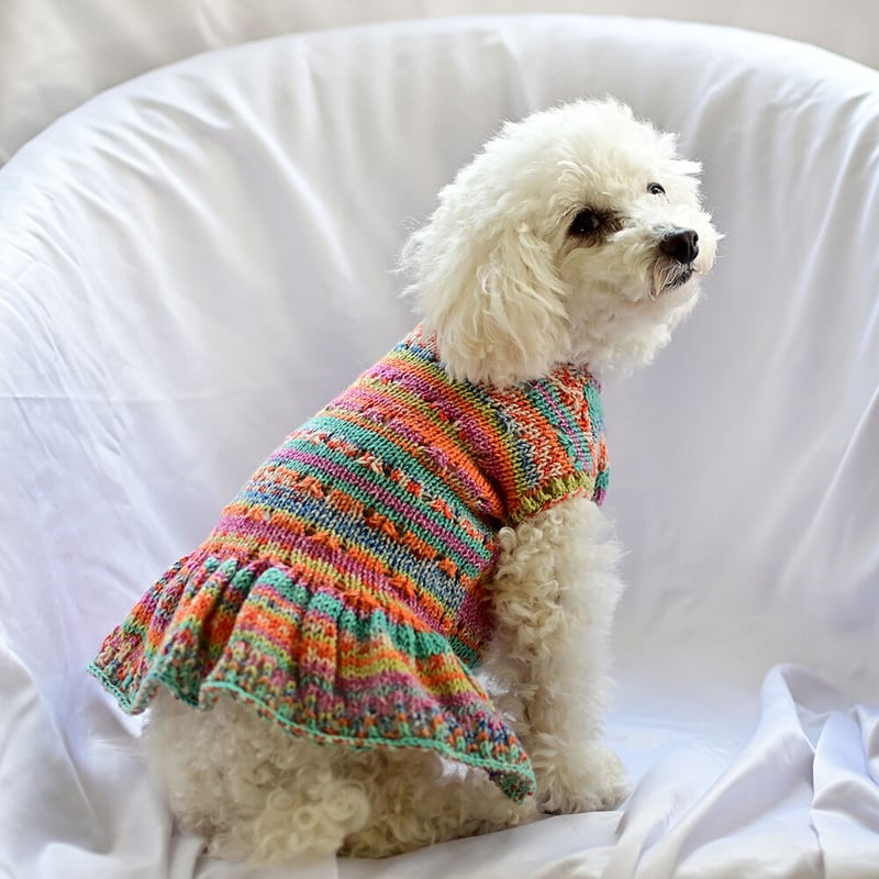 毛糸　手編み　 犬服　犬ニット　ハンドメイド 手編みの犬の服 - サポトリコ｜Sayoko | □とじはぎなしのトップ