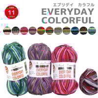 エブリデイ　カラフル　EVERYDAY　COLORFUL　洗える　手編み　アンチピリング　NASKA　グラデーション　knitting  yarn