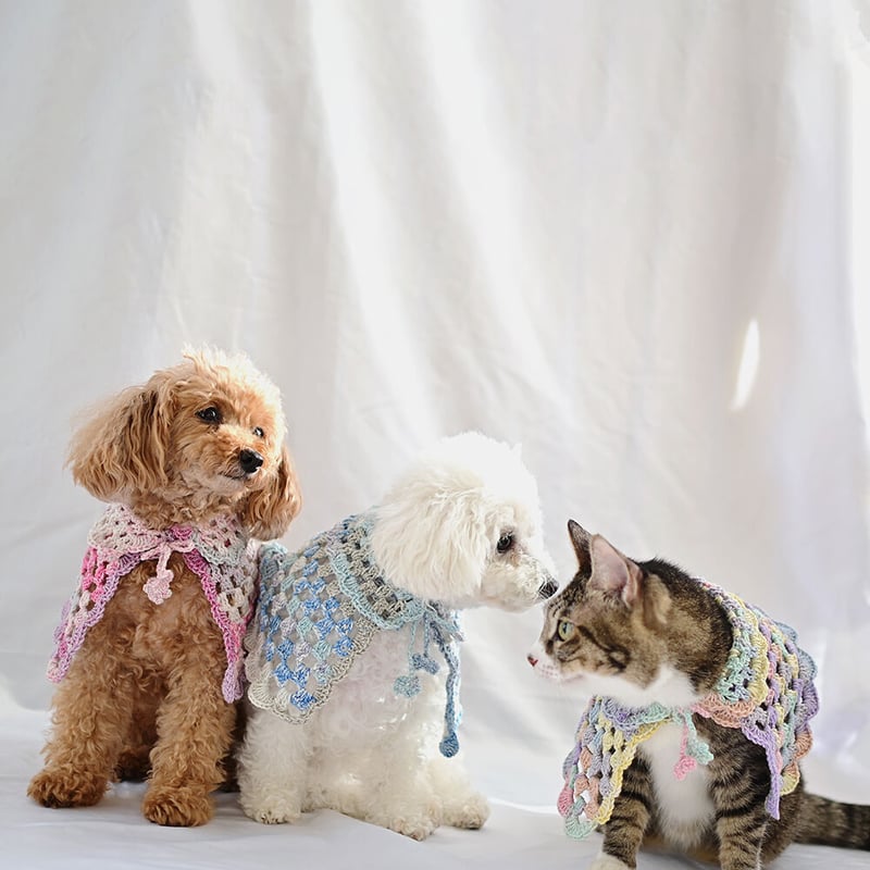 ペット用松編みケープ 編み物キット | WISTERIA 手作りのお店