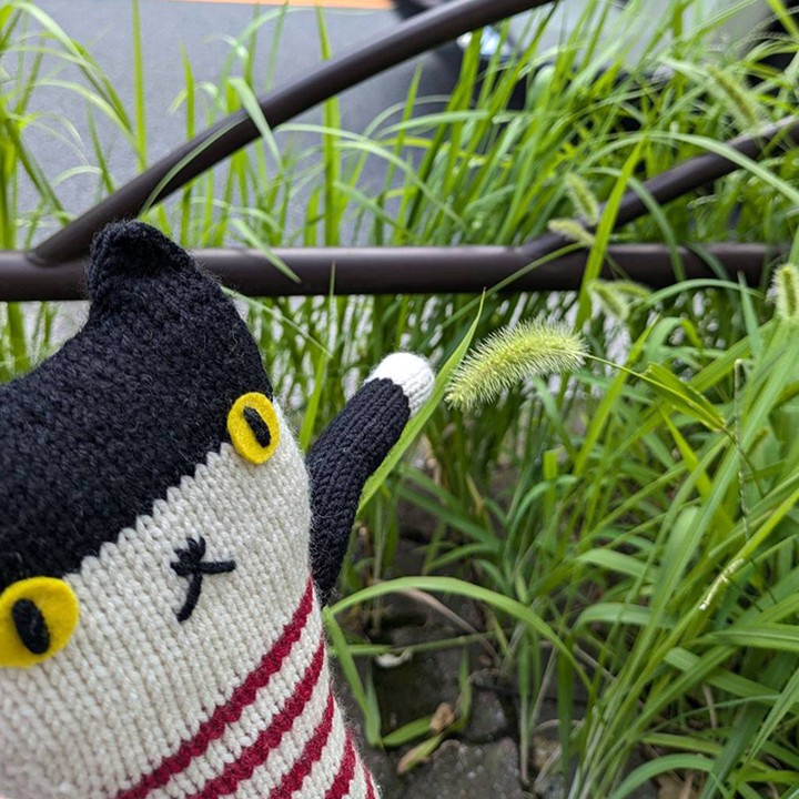 ゆるかわニャオタン あみぐるみキット | WISTERIA 手作りのお店