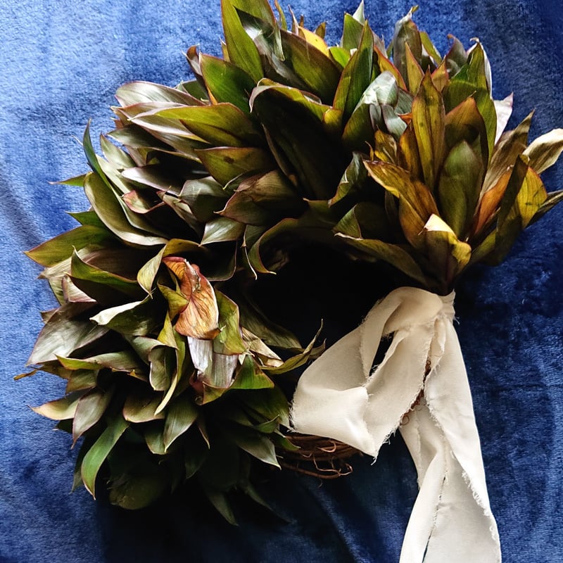 ドラセナ コンパクターのハーフリース | 間 MA ✳️ Antique & Flowers