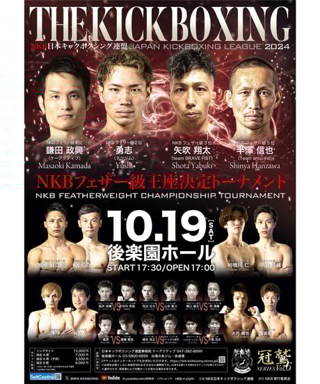 DREAMシリーズ 格闘技DVD 11巻セット DREAMシリーズ 格闘技DVD 11巻セット