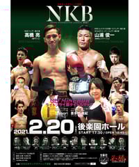 キックボクシング　DVD 全日本キックTHE 20th ANNIVERSARY THE TRUTH