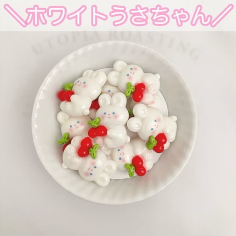 【5個】フルーツキャッチくまうさねこ