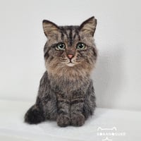 原田オーダー猫ちゃん 猫ちゃん似顔絵オーダー︴ 𝐜𝐨𝐦𝐚𝐜𝐨 𖧷 (@comaco.picture