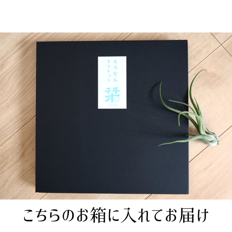 ファブリックパネル 「tanpopo」 | くうかんそうしょく 栞 ファブリックパネル 「tanpopo」 | くうかんそうしょく 栞