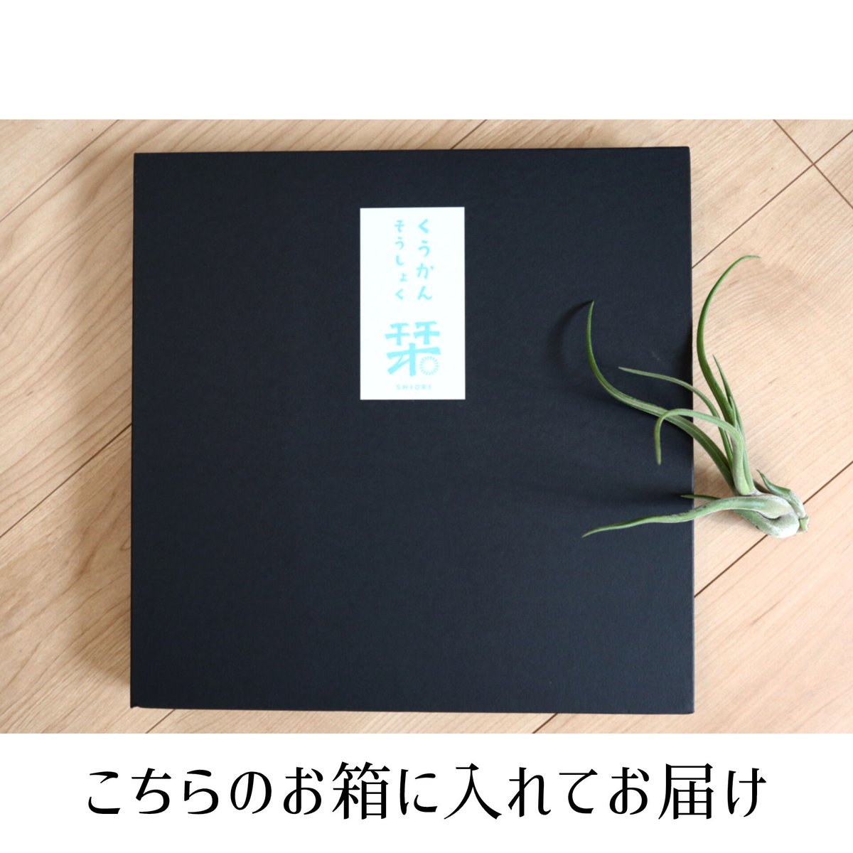 ファブリックパネル 「tanpopo」 | くうかんそうしょく 栞 ファブリックパネル 「tanpopo」 | くうかんそうしょく 栞