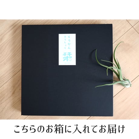 ファブリックパネル 「choucho」