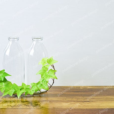 ガラス瓶と観葉植物02