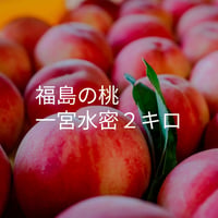 福島の桃　一宮水密　送料込み！　2kg