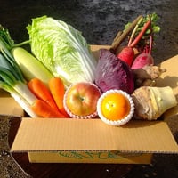 かんたファーム直送！　野菜詰め合わせセット