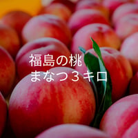 福島の桃　まなつ　送料込み！　3kg
