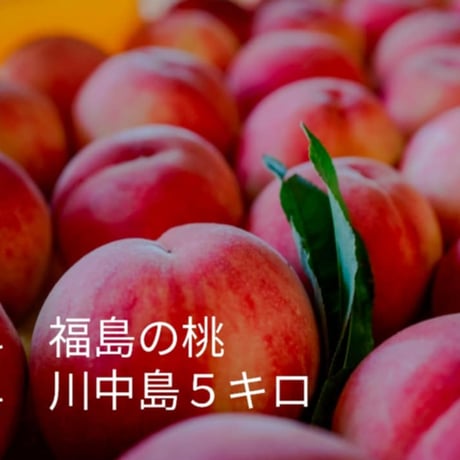 川中島白桃 | STORES